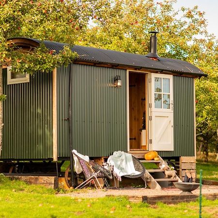 Harrys Hideout - Shepherd'S Huts At Harrys Cottages Pen-y-Clawdd Exterior foto